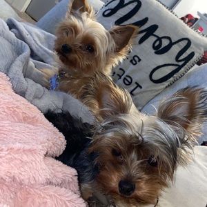 Meet your Posher, Jordan